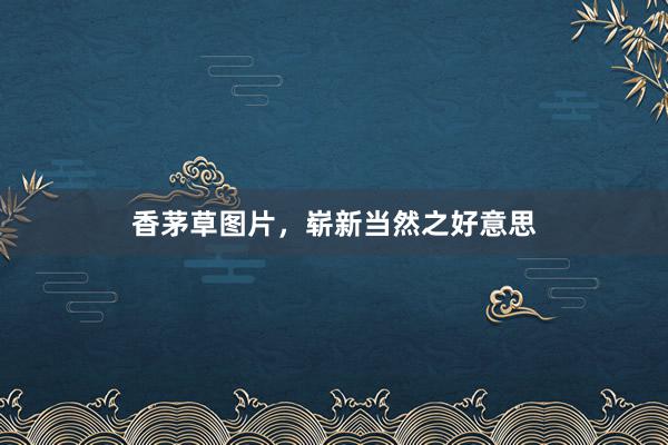 香茅草图片，崭新当然之好意思