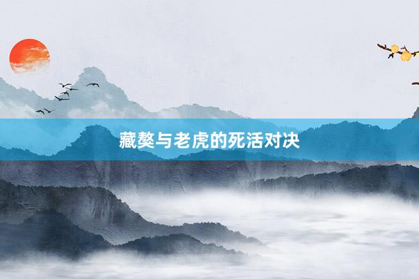藏獒与老虎的死活对决