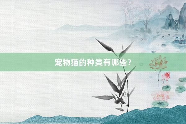 宠物猫的种类有哪些？