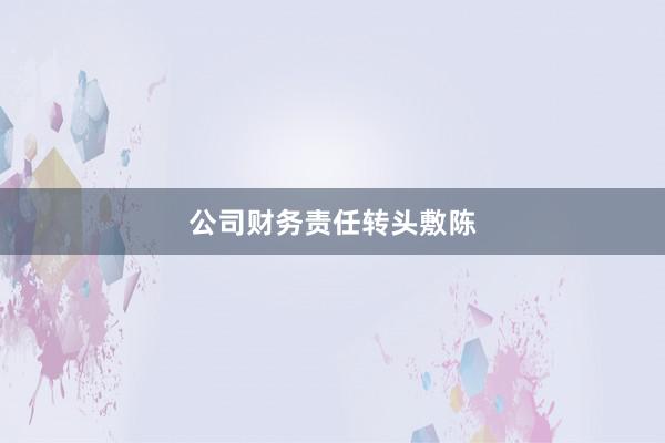 公司财务责任转头敷陈